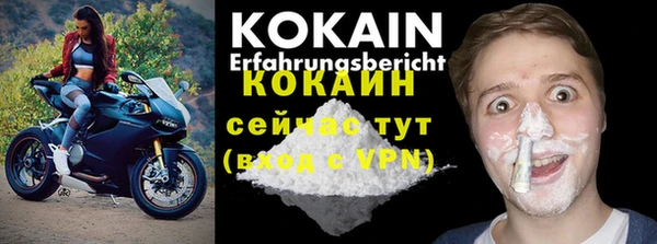 индика Баксан