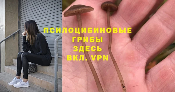 индика Баксан