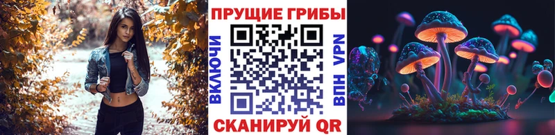 Галлюциногенные грибы Cubensis  OMG tor  Белокуриха 