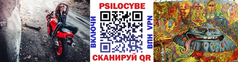 Псилоцибиновые грибы ЛСД Белокуриха